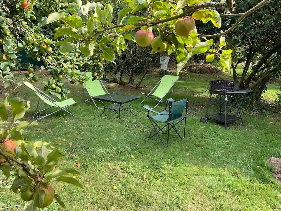 Un Verger En Bord De Mer Locmariaquer